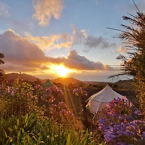 Free Canari - Los Alamos 8 Luxe tent Tegueste